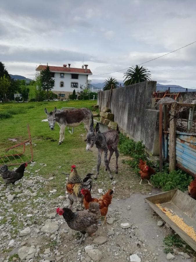 Agroturismo Pagoederraga Orio Exterior foto